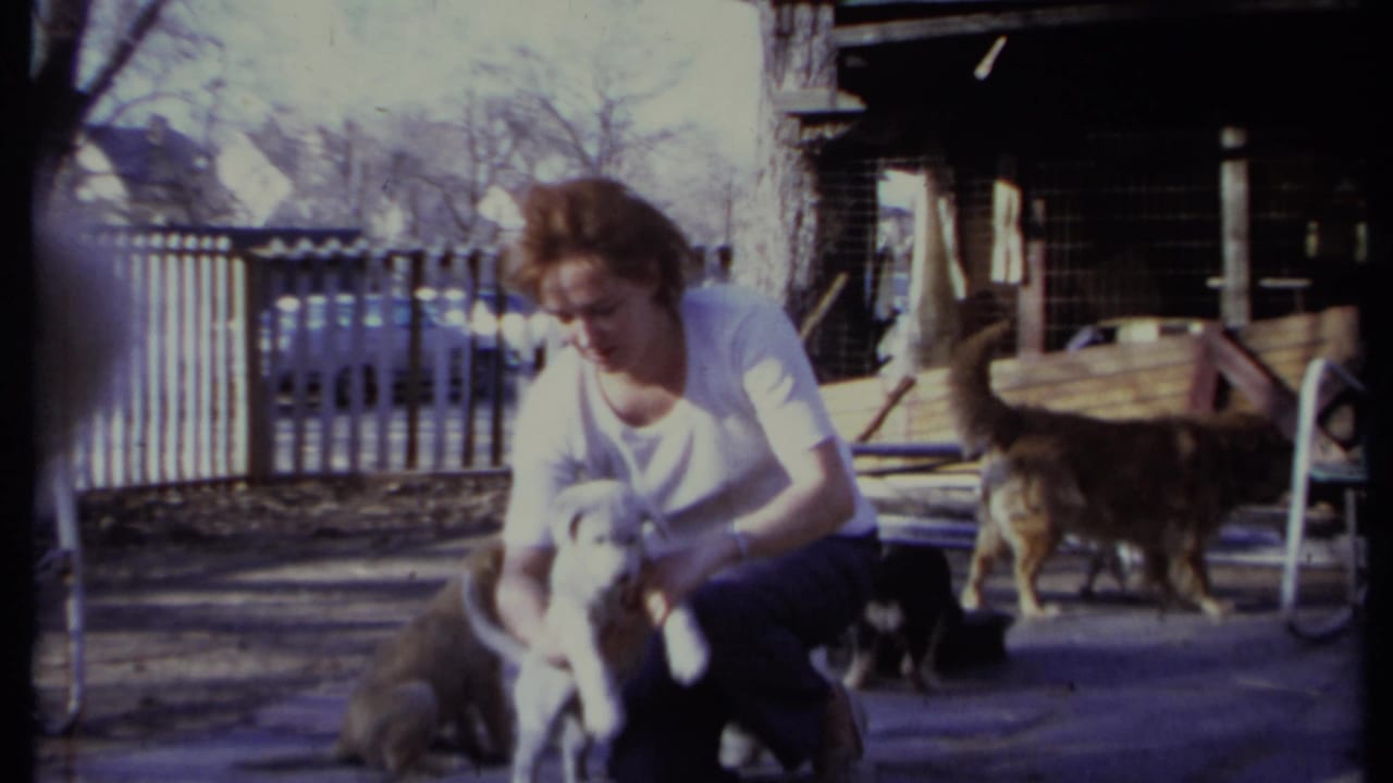 Woman crouching in a fenced yard while holding a light-colored puppy near other dogs.