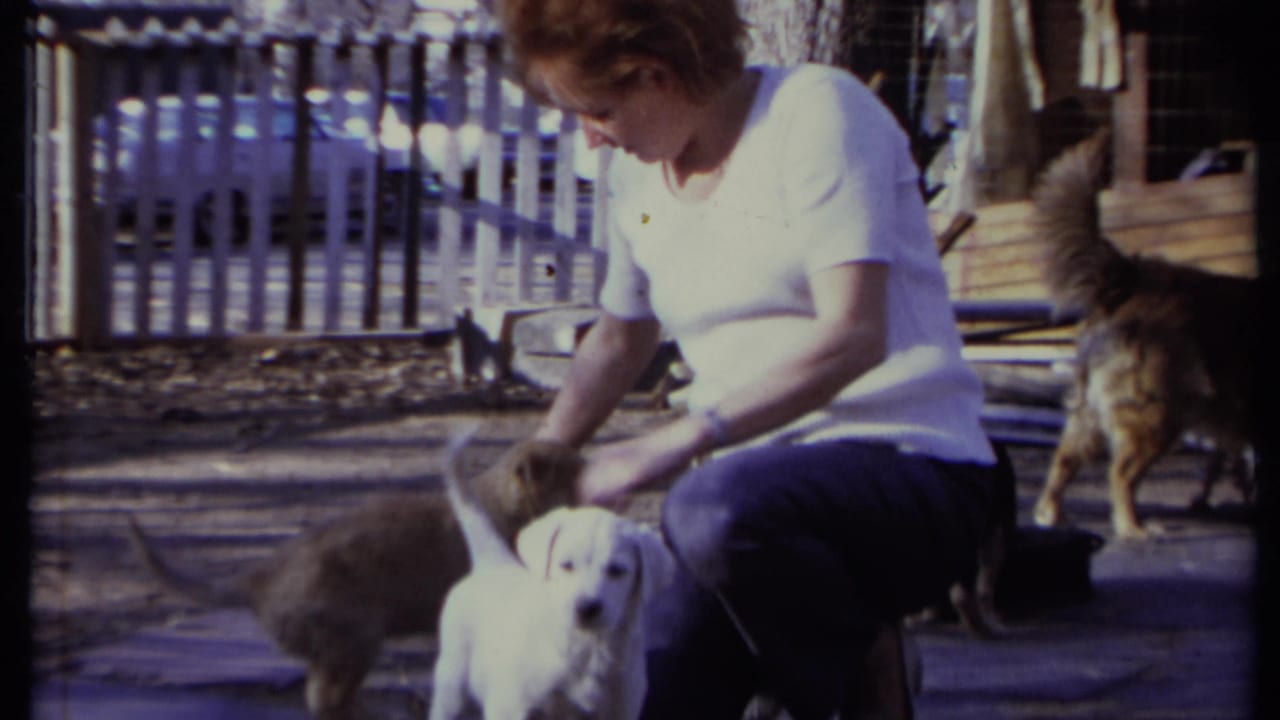 Woman crouching beside puppies in a fenced outdoor yard with a larger dog behind her.