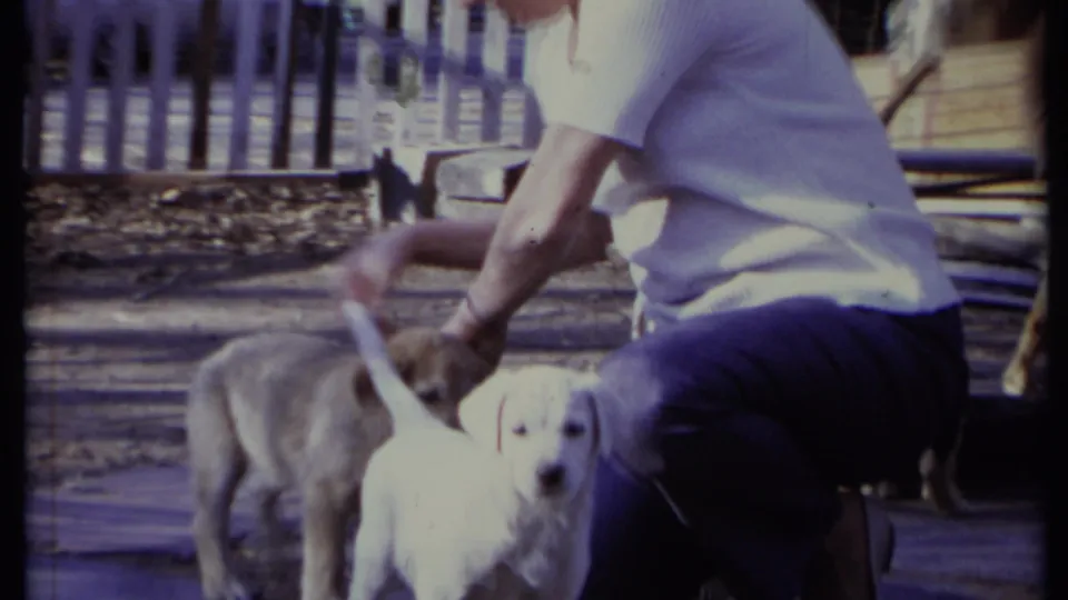 A closer 1971 backyard view shows the woman petting two puppies, including a white puppy facing toward the camera.