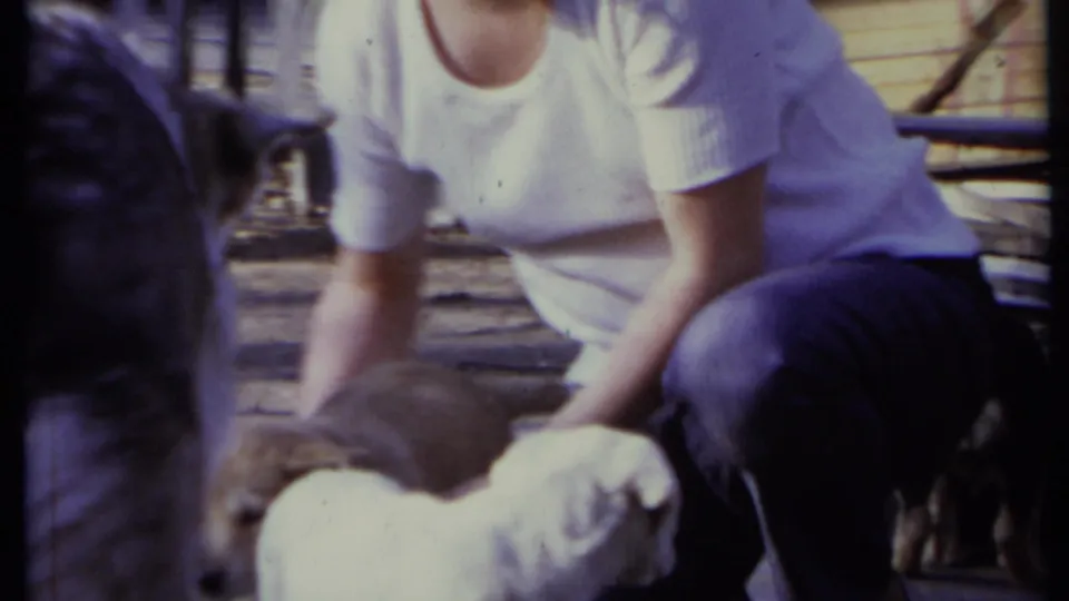 The final frame shows the woman leaning close to puppies in the fenced yard, with a larger dog partially blocking the foreground.