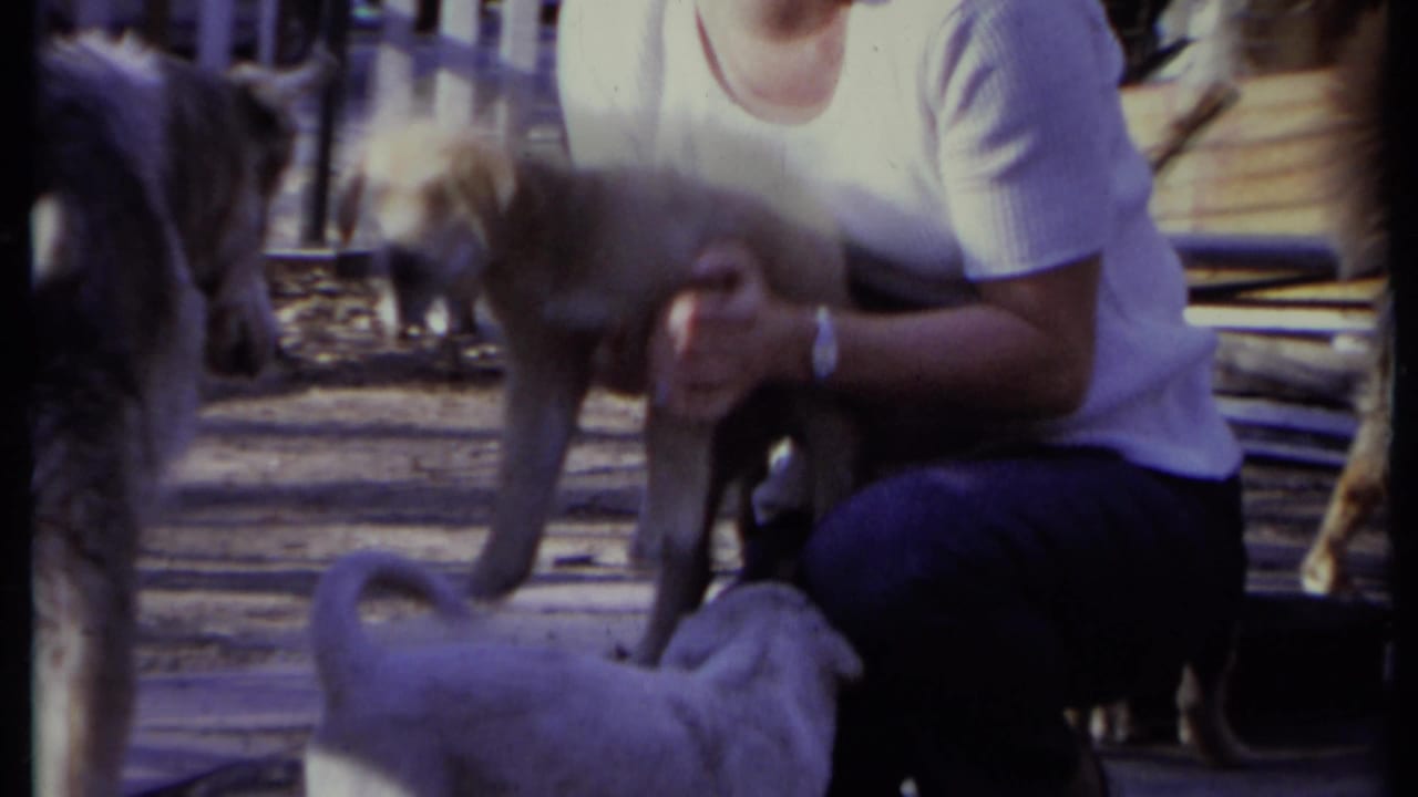 Woman in a white shirt bends among dogs while holding a light-colored puppy outdoors.