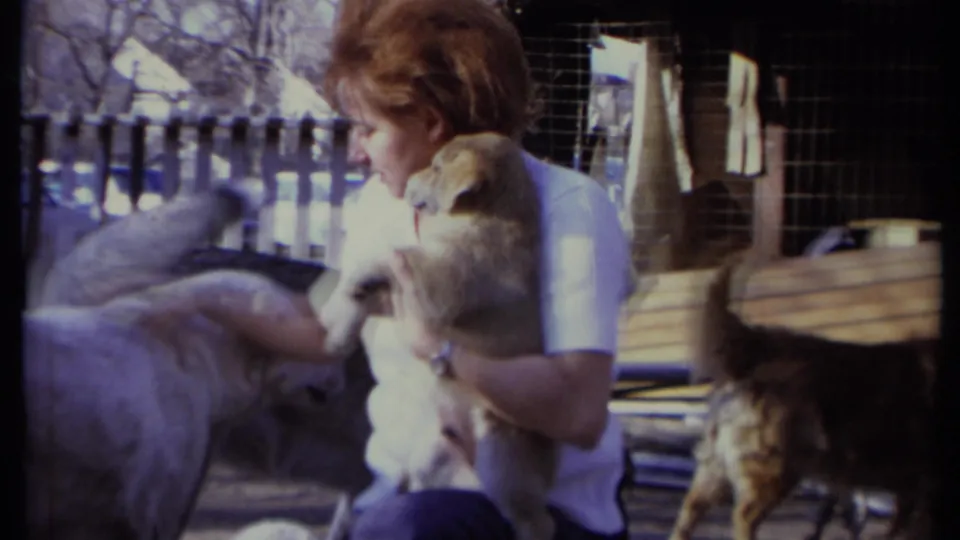 A woman in a white shirt cradles the puppy as a dog approaches from the left and a tabby cat is visible beside the wooden enclosure.
