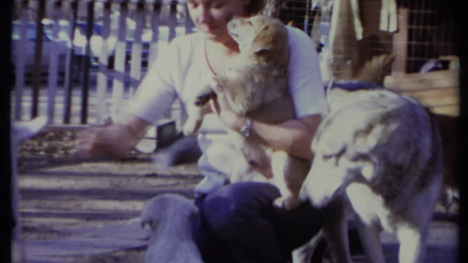 In the final frame, the woman holds the puppy in one arm and reaches toward another dog as a larger dog stands close at the right edge.