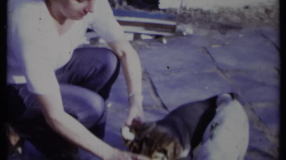 A man in a white shirt crouches on a California patio in 1971, reaching toward a puppy gripping a stuffed toy.