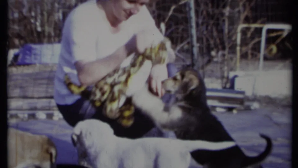The seated adult lifts a leopard-print stuffed toy as puppies gather below in an outdoor California home-movie scene.