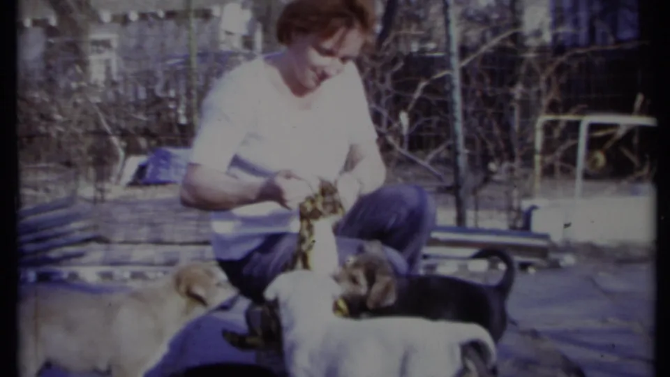 A seated adult in a white shirt holds the stuffed toy as several puppies mill around on a sunny patio in 1971 California footage.