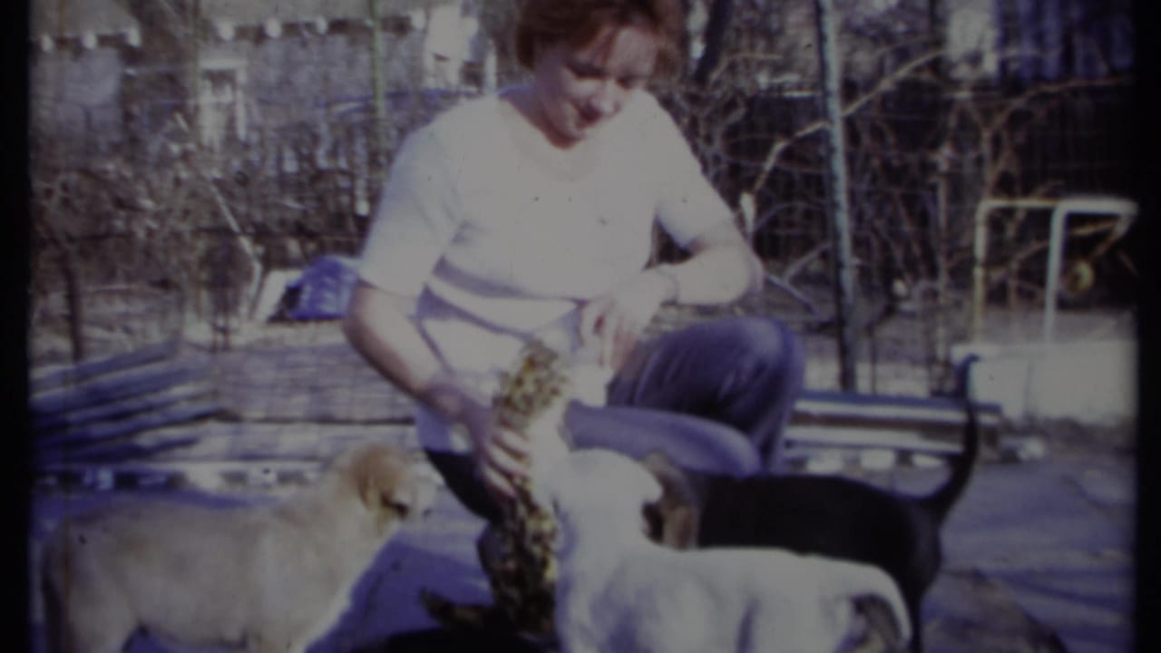 Woman crouches outdoors with puppies gathered around a patterned chew toy.