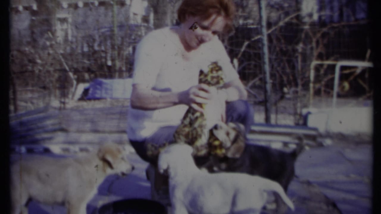 Woman holds a patterned toy as puppies stand close around her in a yard.