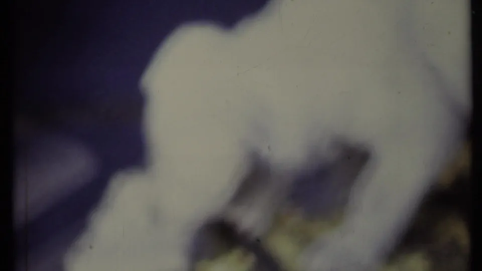 The final 8mm frame is heavily soft-focused, with the white dog and puppy remaining close together against a dark outdoor background.