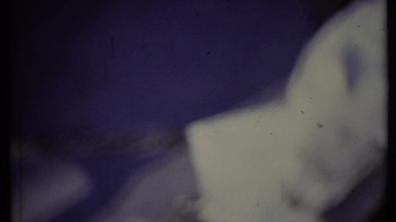 Small white puppy blurred near a pale sheet of paper on a dark surface.