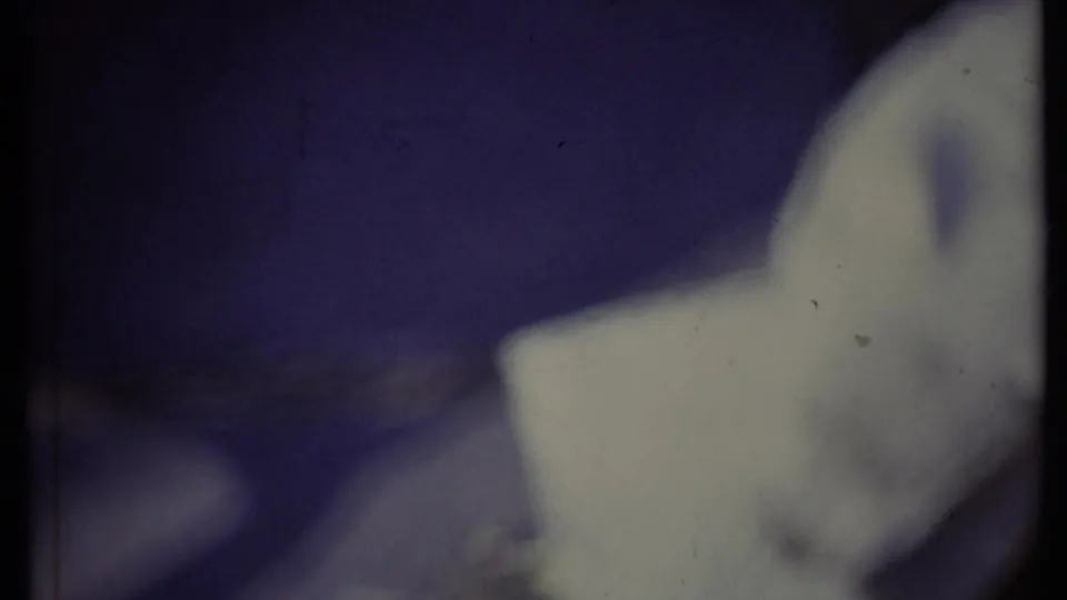 Soft 1971 California 8mm frame of a white puppy near a pale piece of paper, seen from above with heavy blur and purple color cast.