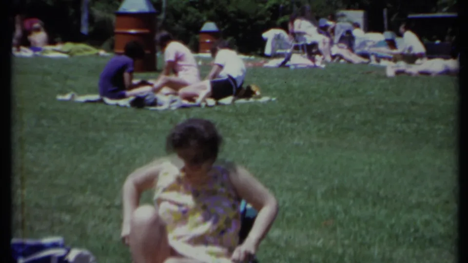 At the end of the clip, the woman looks down in her folding chair while picnic groups remain visible across the park grass.