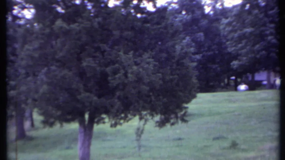 1971 California home-movie frame centered on a large foreground tree with lawn, distant structure, and propane tank beyond.