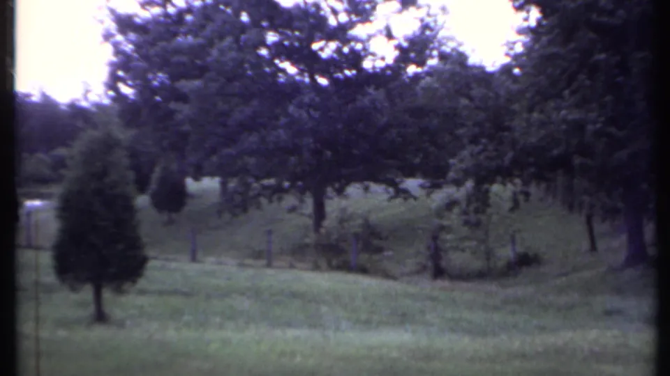 1971 California 8mm frame of open grass, trees, fence posts, and a central dark film-edge band from the scan.