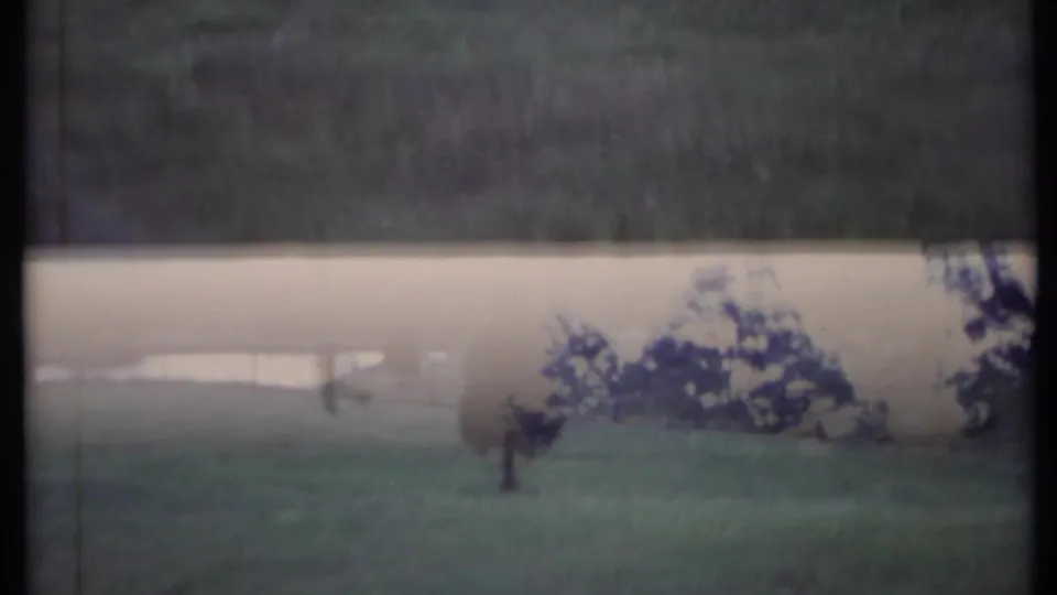 1971 California landscape frame showing a small pond, reflected trees, grass, and a young tree in soft 8mm color.