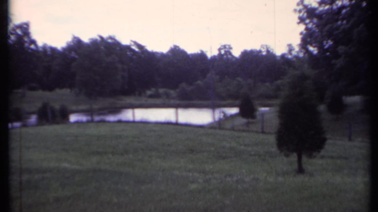Grassy park slope leading to a pond with trees in the background.