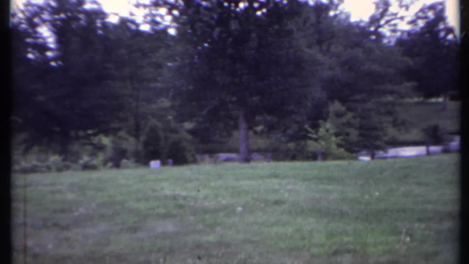 1971 California home-movie still of a shaded park pond area with large trees, shrubs, and grass.