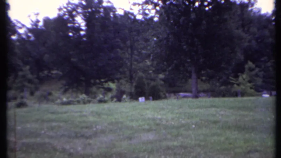 1971 California 8mm frame showing a grassy lawn, low brush, and dense trees at the edge of a wooded area.