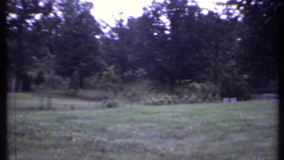 1971 California 8mm frame with open lawn, scattered shrubs, and a shaded treeline beyond the field.