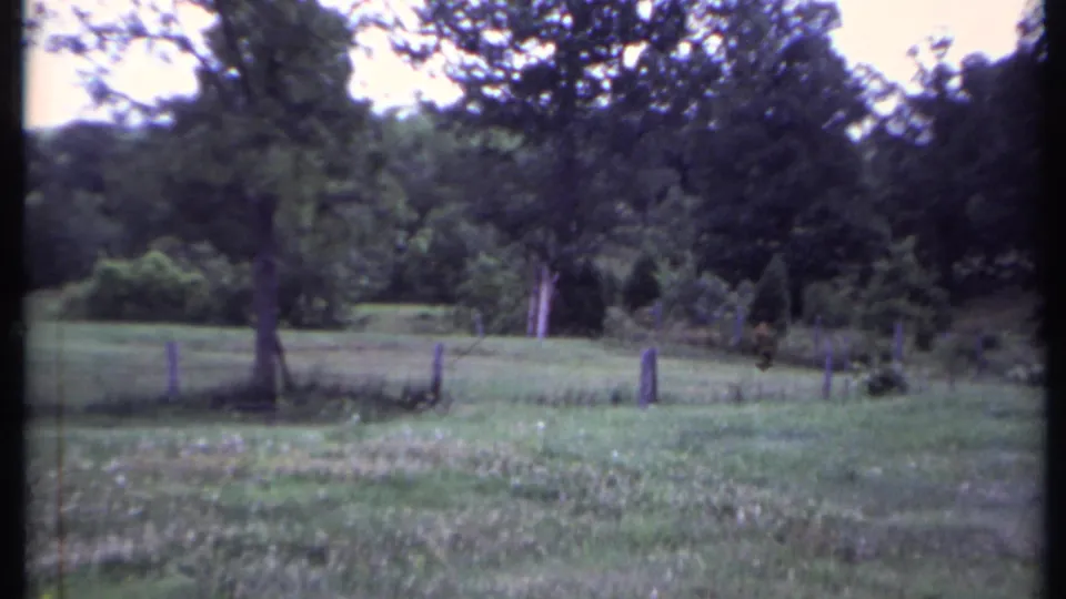 1971 California 8mm frame showing fence posts, uneven grass, and mature trees beyond a rural field.