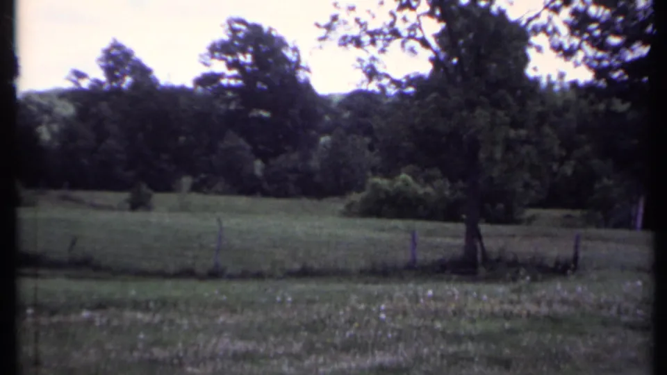 1971 California 8mm frame showing a lone tree, simple fence line, open grass, and dense woods in the background.