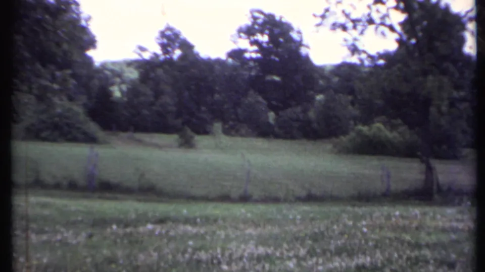 1971 California 8mm frame showing a rural grassy field, tree line, fence posts, and soft handheld framing.