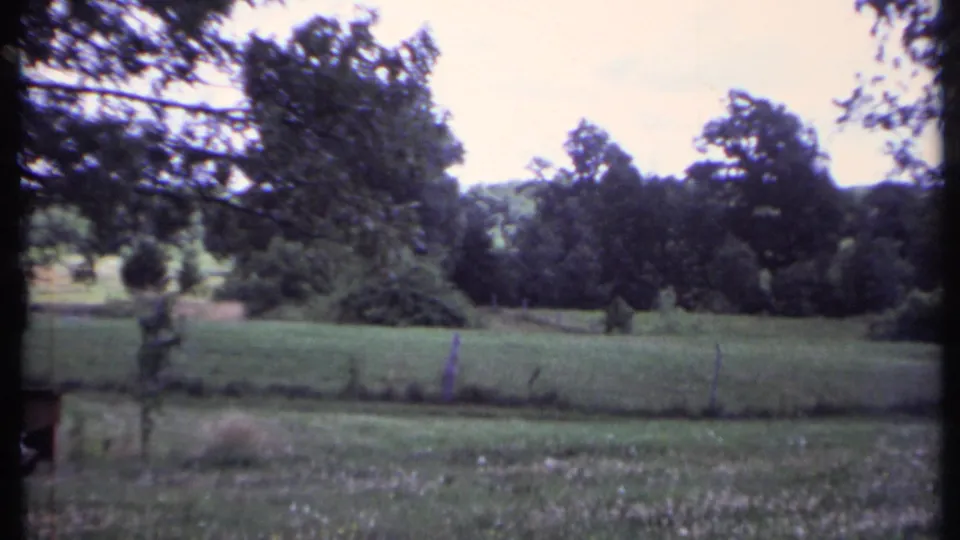 1971 California rural view with trees, fence, open grass, and the edge of a small wooden dog shelter near the foreground.