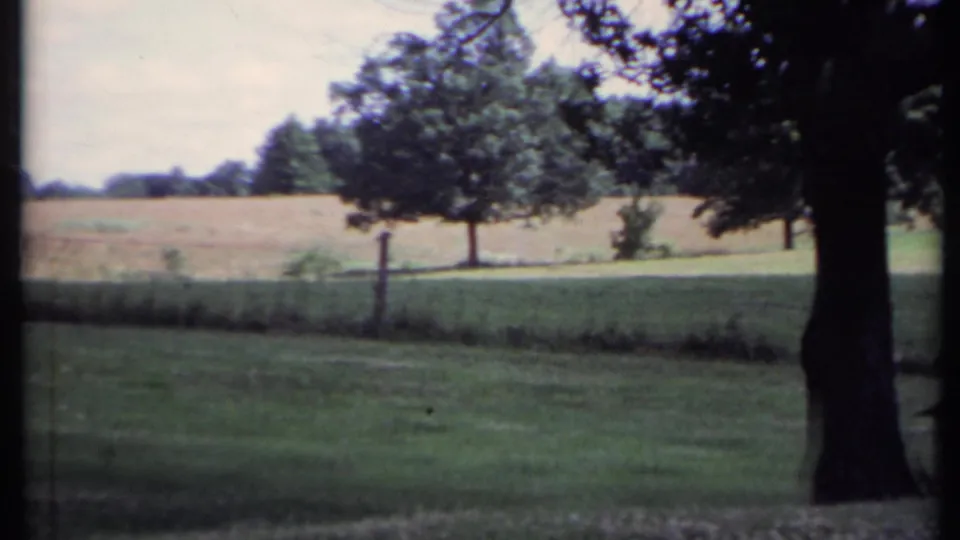 The camera frames the open California field and nearby tree, with the doghouse mostly out of view by the end of the 8mm clip.