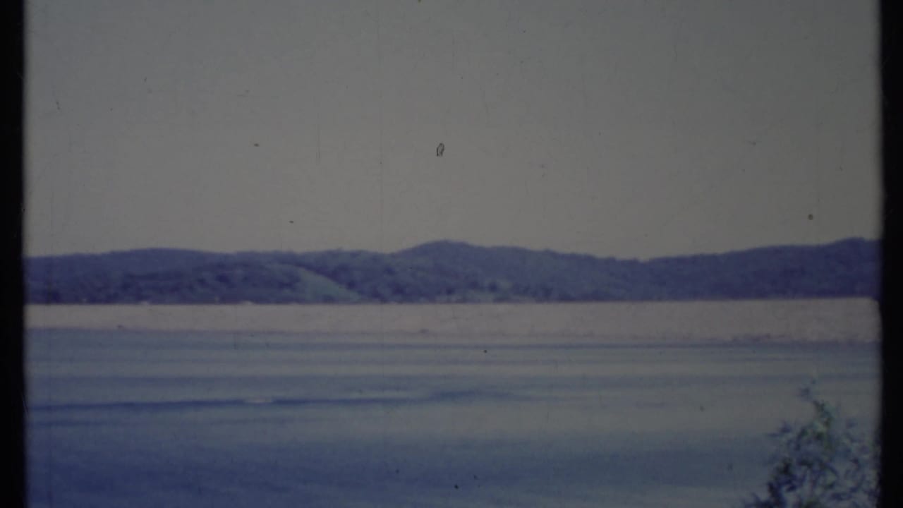 Wide view across rippled bay water toward low wooded hills under a pale sky.