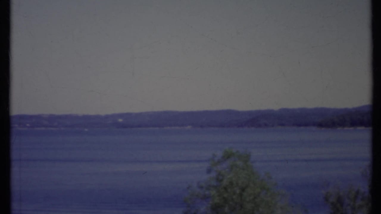Lake horizon with low hills and a leafy tree at the lower right.