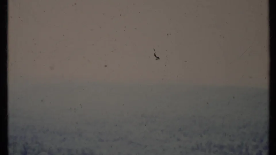Blurred 8mm frame showing a hazy elevated view over tree-covered terrain, likely from the same California travel reel.