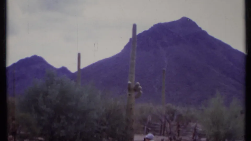 1971 8mm home-movie view of tall desert cacti, scrub, a fence line, and purple-toned mountains in California.