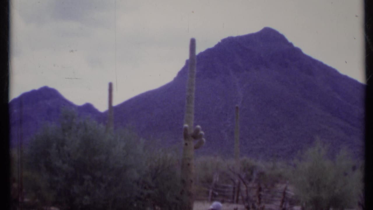 Desert cactus and scrub with a large mountain rising in the background.