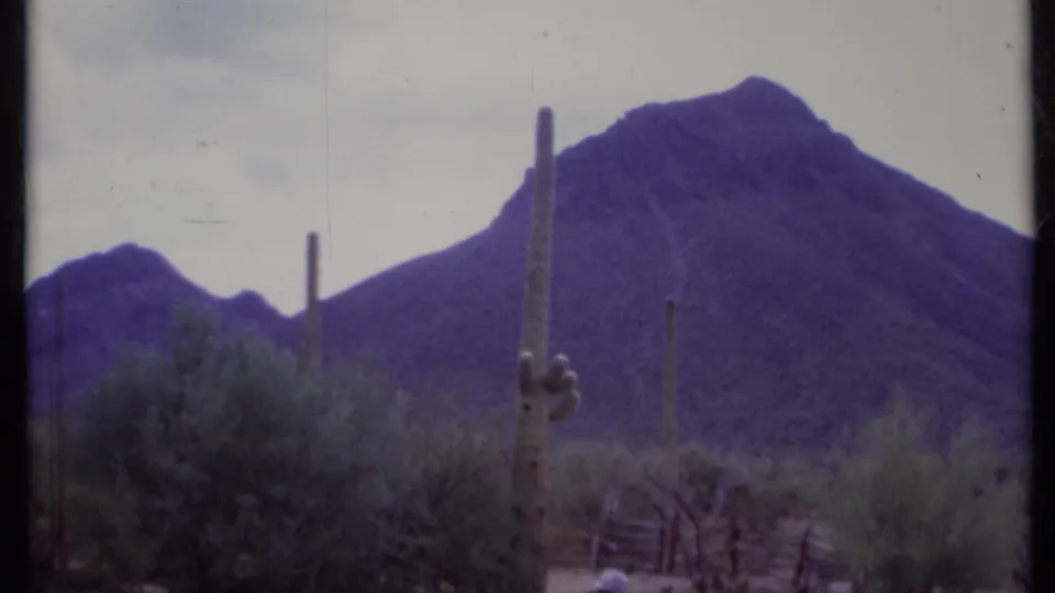 California desert landscape on 8mm film with columnar cacti, brush, and a rugged mountain beyond the foreground scrub.