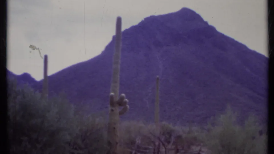 A closer 1971 home-movie frame shows a tall cactus, low brush, rough fencing, and a purple mountain slope in California desert terrain.