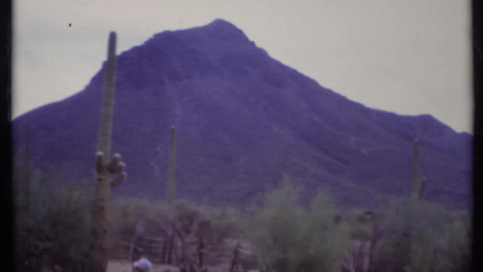 1971 8mm desert view with columnar cacti, scrub, a rustic fence, and a dark mountain ridge in the background.