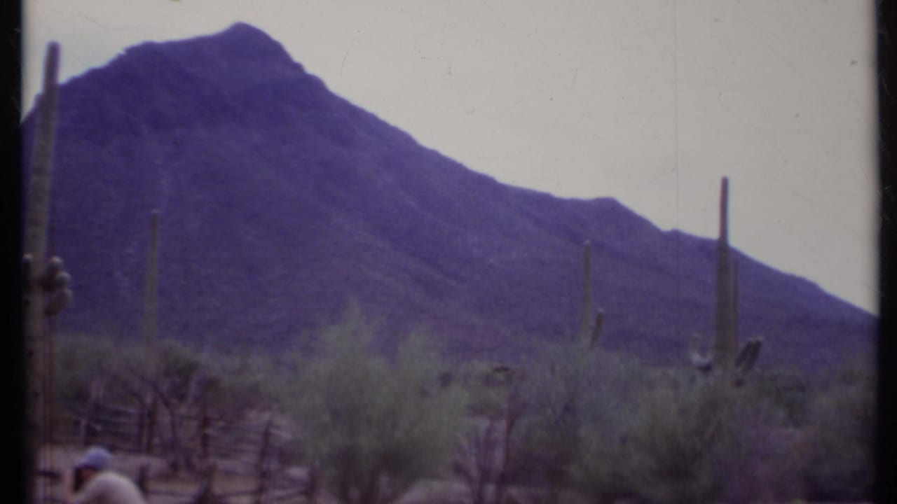 Desert vegetation, tall cacti, and a broad mountain slope with a small person near the lower edge.