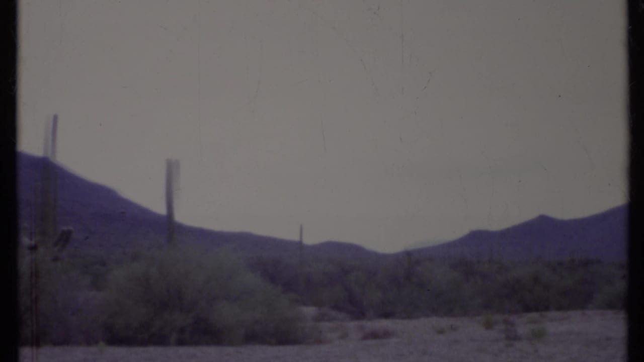 Open desert with several tall cacti, scrub brush, and a mountain ridge.