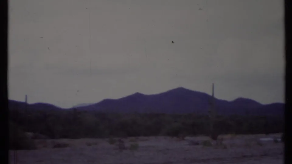 1971 California desert plain showing low shrubs, a dark mountain profile, pale sky, and a tall cactus near the horizon.