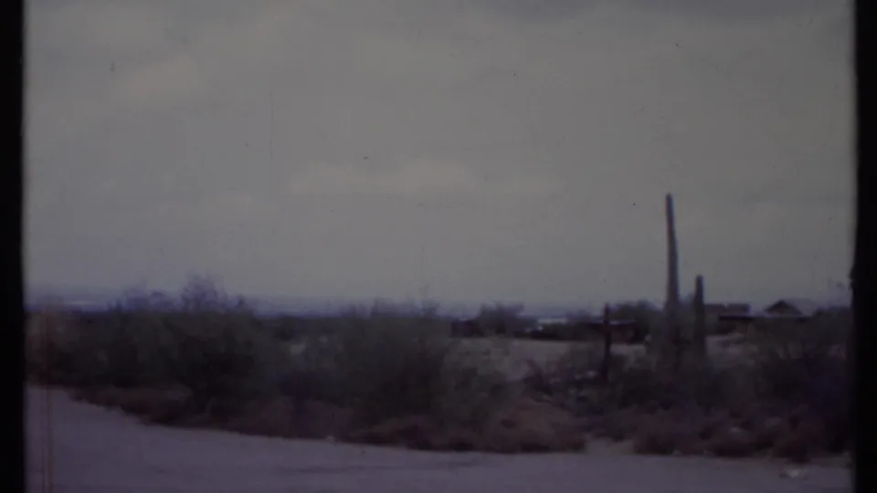 1971 California roadside desert view with brush, columnar cacti, a small road, distant low structures, and a pale cloudy sky.