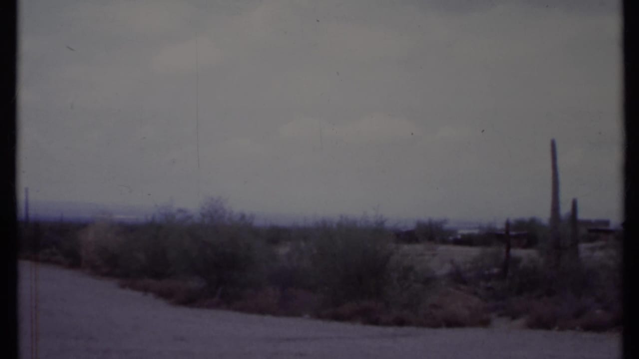 Dirt road crossing a scrubby desert with tall cacti under a cloudy sky.