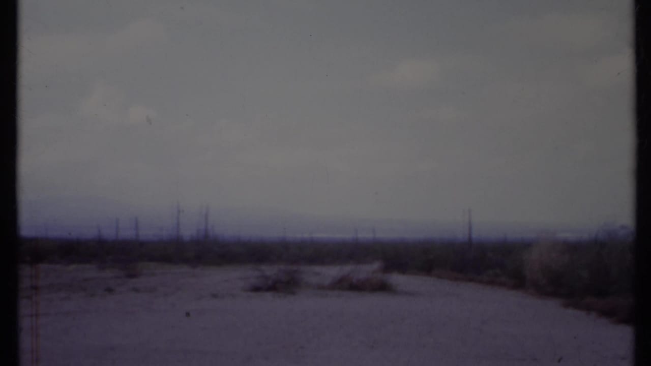Open scrub landscape with a dirt track, low bushes, and utility poles in the distance.