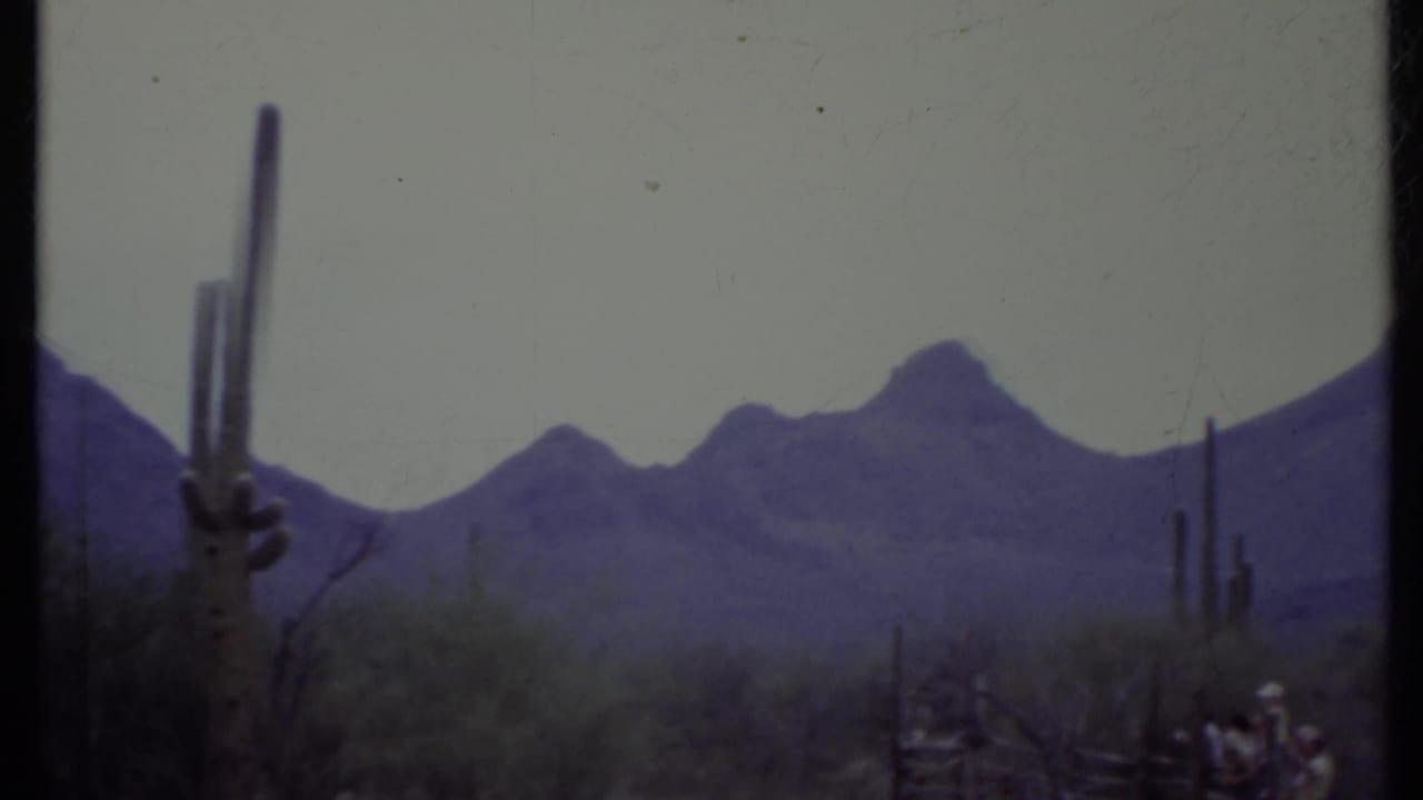 1971 8mm view of tall cactus columns and low desert vegetation with hazy mountains in the background.