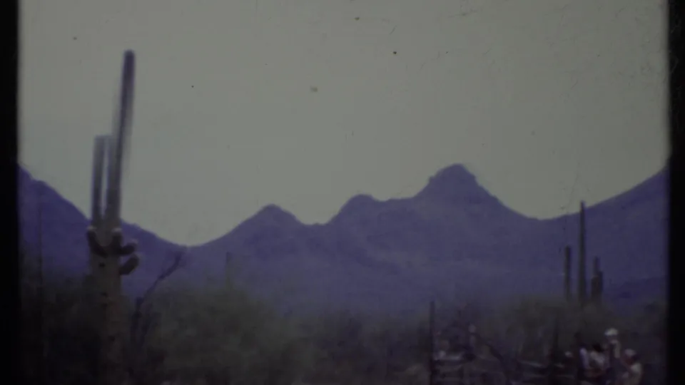 1971 8mm view of tall cactus columns and low desert vegetation with hazy mountains in the background.