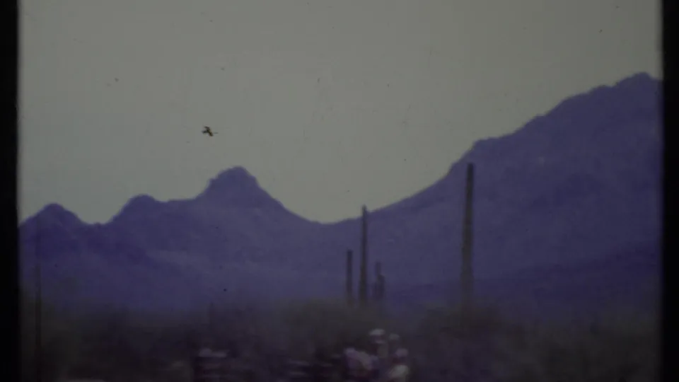 1971 8mm desert landscape with cactus silhouettes, hazy mountains, and small visitors near the bottom of frame.