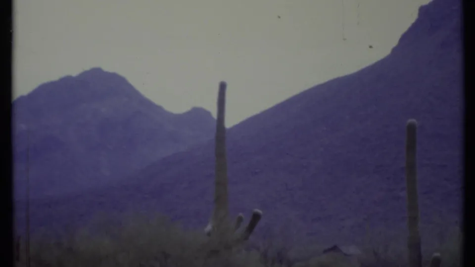 1971 8mm desert view with a prominent cactus column in front of layered, purple-toned mountain slopes.