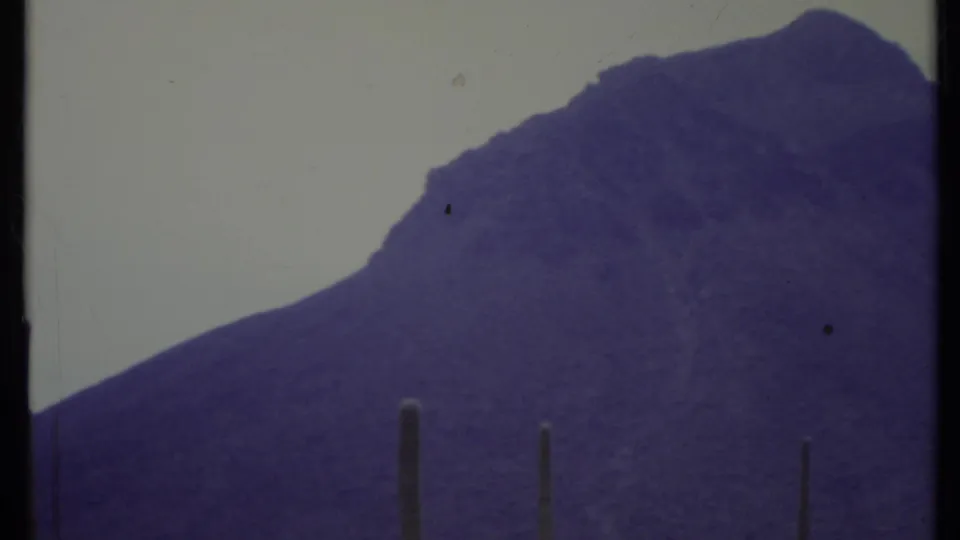 1971 8mm California desert landscape showing a broad purple mountain slope behind sparse upright cacti.