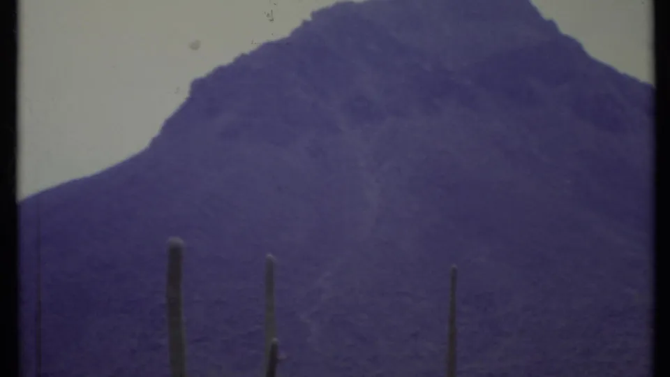 1971 8mm California desert shot with a massive purple mountain and several dark cactus columns in the foreground.