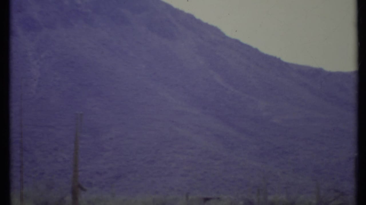 Purple-toned desert mountain slope under a pale sky with sparse cactus and scrub below.