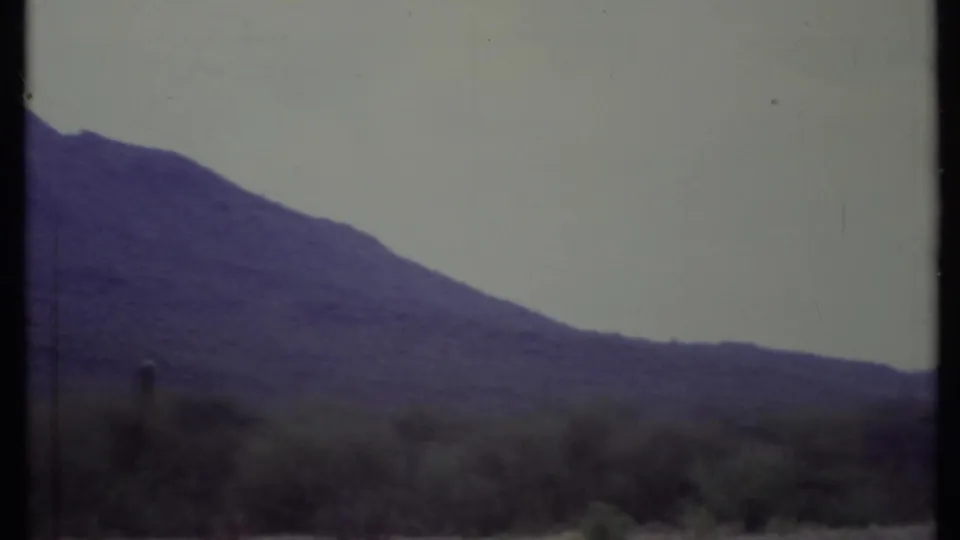 A muted 8mm frame of California desert scrub and a sloping mountain ridge, with cactus forms near the lower edge.